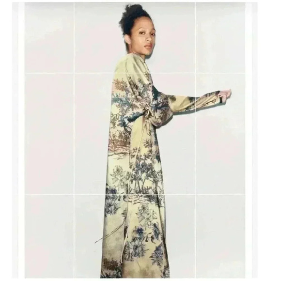 NWT Zara Printed Wrap Robe - Picture 9 of 15